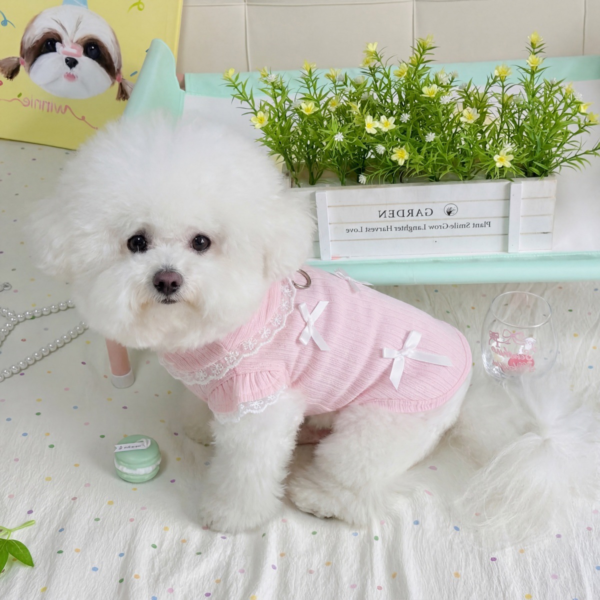 Pet Spring Lace Bow Vest Can P - Lace Teddy Lingerie review and price